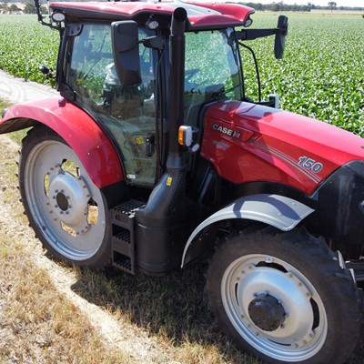 Busy WA vegetable supply business benefits from versatility technology features of popular Case IH Maxxum range