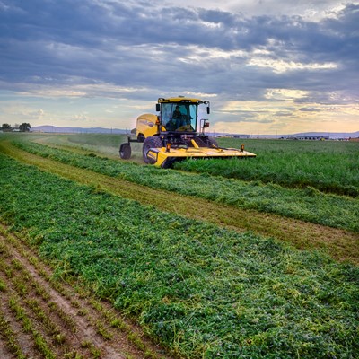 A yellow agricultural harvester machine cutting and collecting green crops in a vast field under a cloudy sky during sunset.