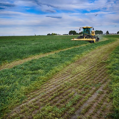 A large yellow agricultural mower cutting green crops in a vast field under a partly cloudy sky, with visible rows of freshly cut plants and a bird flying above.