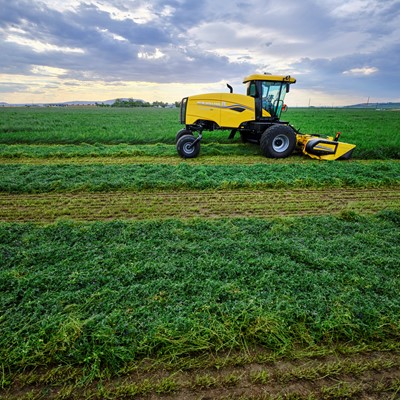 A yellow New Holland agricultural mower operating in a green field under a cloudy sky, cutting rows of grass or crops.