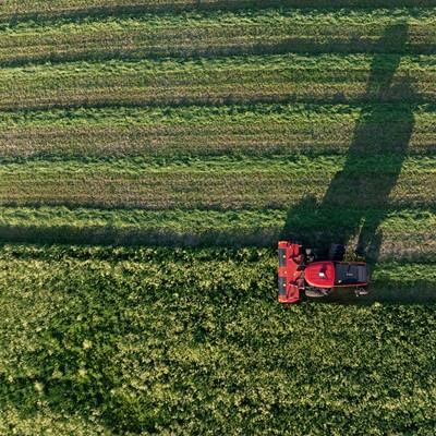 WD2506 windrower