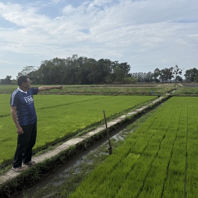 CNH equipment helps Thai rice farmer replace stubble burning Rice Farm