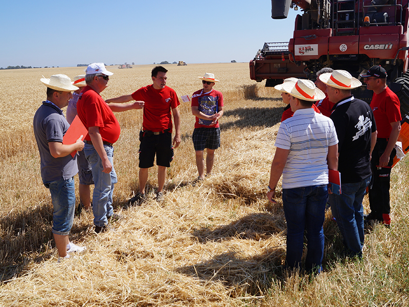 Harvesting Camp Spain Harvesting Camp Spain
