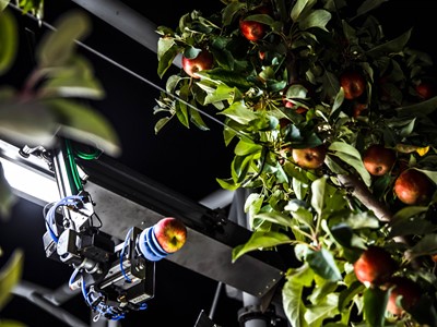 An advanced robot gently picks an apple off the tree