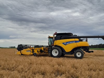 Vivir en el campo con el compromiso de un ambiente m s sustentable