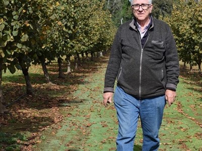 El poder de la mecanizaci n tractores New Holland en la producci n frut cola de Chile