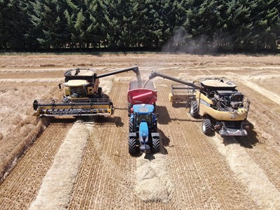 M s de 20 A os de confianza en New Holland y SKC Rural S A potencia su producci n con tecnolog a de vanguardia