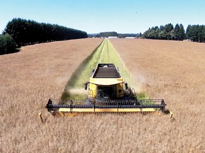 M s de 20 A os de confianza en New Holland y SKC Rural S A potencia su producci n con tecnolog a de vanguardia