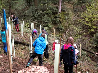 STEYR TRAKTOREN AND AGDW PARTNER TO CULTIVATE CLIMATE AWARENESS IN CHILDREN THROUGH FORESTRY INITIATIVE