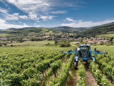 A blue agricultural tractor working in a lush green vineyard with rows of grapevines under a partly cloudy blue sky, with rolling hills and a small village in the background.