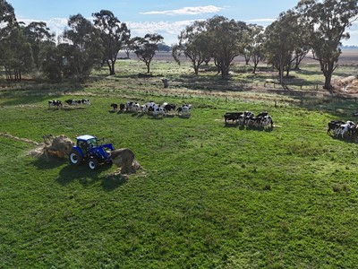 Tracing tractor tech across generations from a heritage Ford 2000 Offset to fuel efficient New Holland workhorses