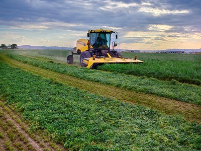 A yellow agricultural harvester machine cutting and collecting green crops in a vast field under a cloudy sky during sunset.