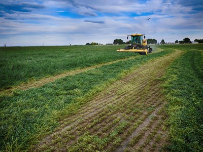 A large yellow agricultural mower cutting green crops in a vast field under a partly cloudy sky, with visible rows of freshly cut plants and a bird flying above.
