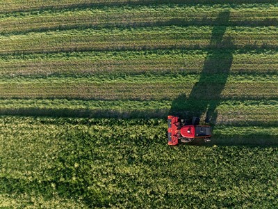 WD2506 windrower