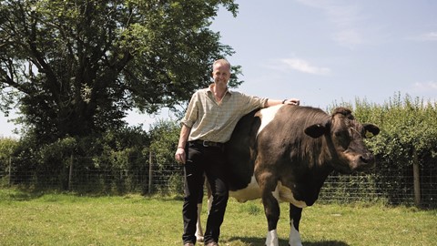 My New Holland - as interpreted by Al Brooks