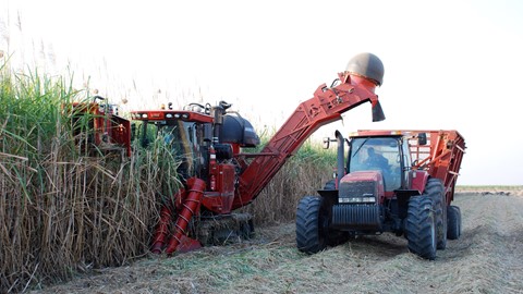 Case IH Green Fuel Sugar Cane Harvester