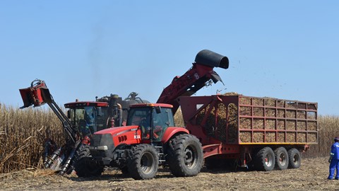 Case IH Green Fuel Sugar Cane Harvester