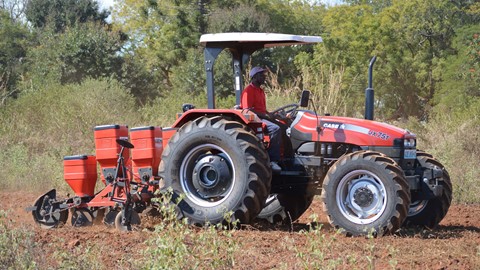 Entreposto Comercial de Moçambique field day