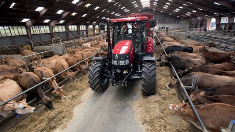 Maxxum CVX 110 with a feed wagon