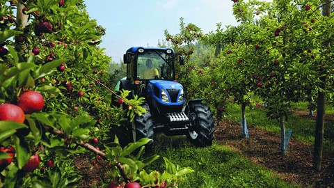 T4.95F in an apple orchard