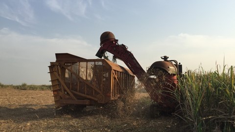 Driving Africa’s Growth: SOMDIAA Chooses CASE IH for its Cameroon Sugar Cane Plantations