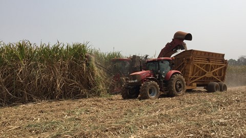 Driving Africa’s Growth: SOMDIAA Chooses CASE IH for its Cameroon Sugar Cane Plantations