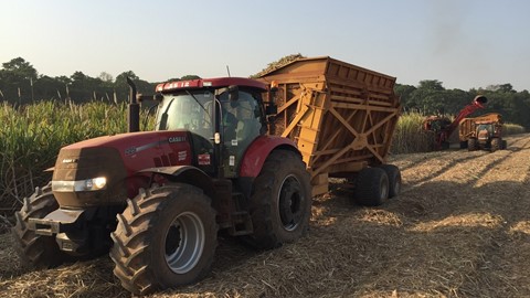 Driving Africa’s Growth: SOMDIAA Chooses CASE IH for its Cameroon Sugar Cane Plantations