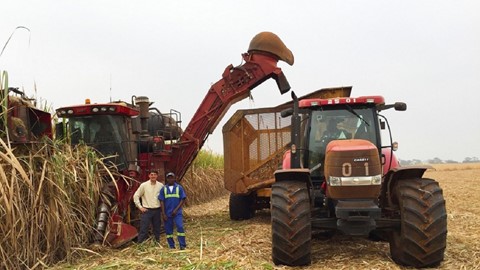 Driving Africa’s Growth: SOMDIAA Chooses CASE IH for its Cameroon Sugar Cane Plantations