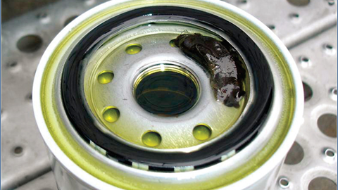 Microbes Collecting on a Fuel Filter