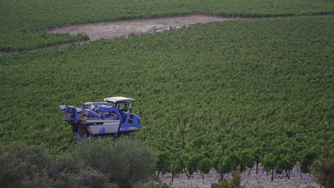 Far away shot of the VN2080 Grape Harvester from New Holland Agriculture at work in a Chablish vineyard