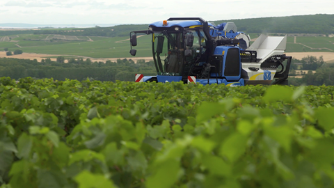 The VN2080 Grape Harvester from New Holland Agriculture at work in Chablis vineyard