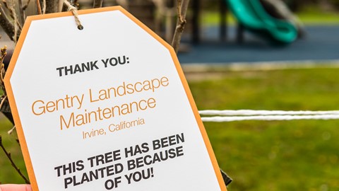 CASE Construction Equipment’s #CASETrees social media event