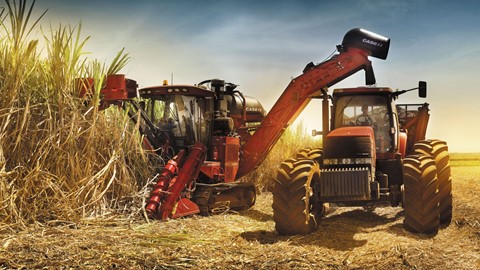 Case IH sugarcane harvester and tractor at work in the field
