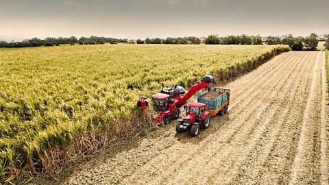A Case IH sugar cane harvest in operation