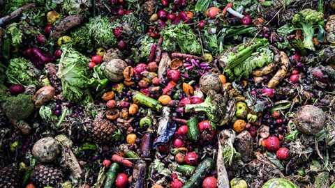 Waste food from supermarkets and the food industry can be fed into the biodigester