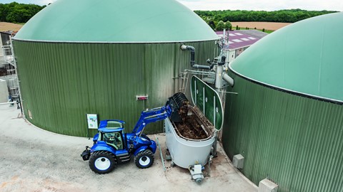 Biogas is created using a selection of ingredients, including animal waste