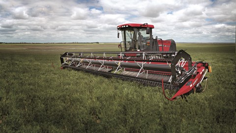 Case IH Windrower
