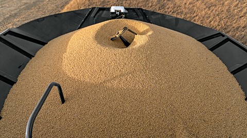 Axial-Flow 8240 Grain Bin