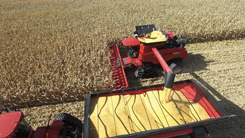 Axial-Flow 9240 harvesting corn