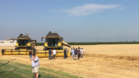 专业团队精发展，田间培训助充电——纽荷兰亚太区商务团队意大利田间培训