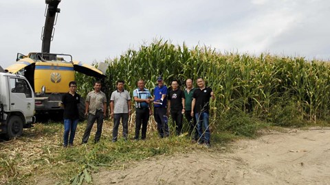 贴心服务，后顾无忧—纽荷兰国外专家来疆回访新老青贮机客户