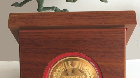 Case IH Axial-Flow® 4088 Combine Wins Gold Award for Technology Innovation at China’s Agricultural Machinery Top 50