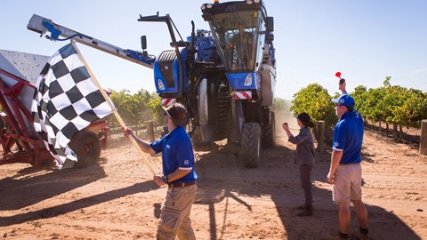 New Holland Braud 9090X Grape Harvester