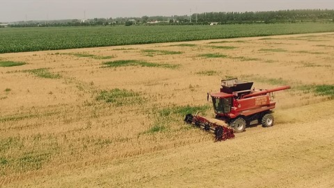 久负盛名的凯斯 Axial-Flow® 联合收割机广受中国用户好评