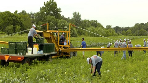 CNH Industrial Impact Day