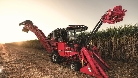 Case IH Austoft 8010 sugarcane harvester