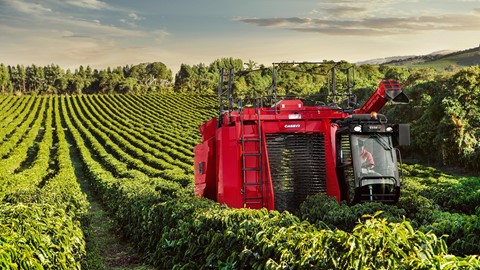 Case IH Coffee Express 200 Multi harvester