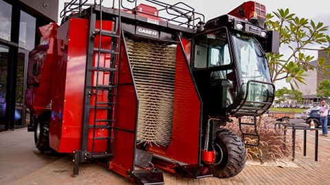 Colhedora é ideal para colheita de plantas de menor porte