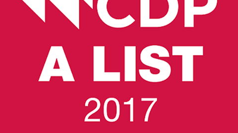 CNH Industrial é uma das principais empresas globais em conduta ambiental pelo CDP