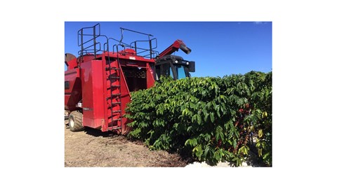 Coffee Express da Case IH passa a colher os cafés arábica e conilon